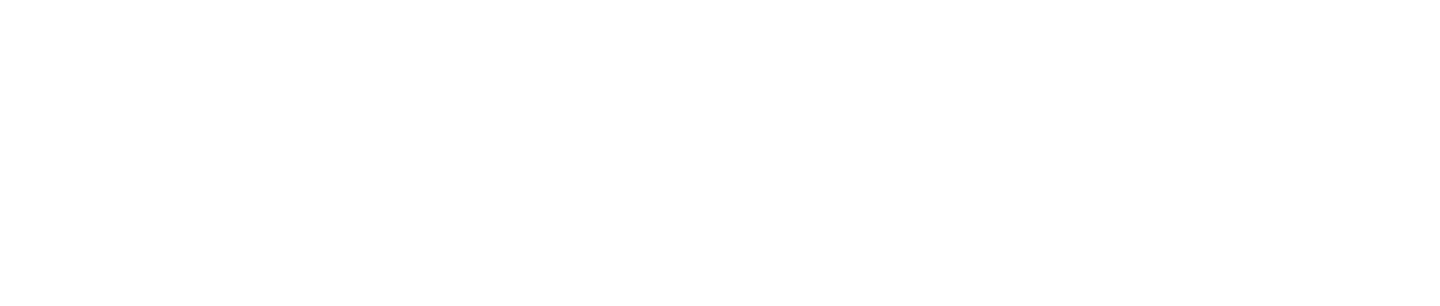 Software { Techies }